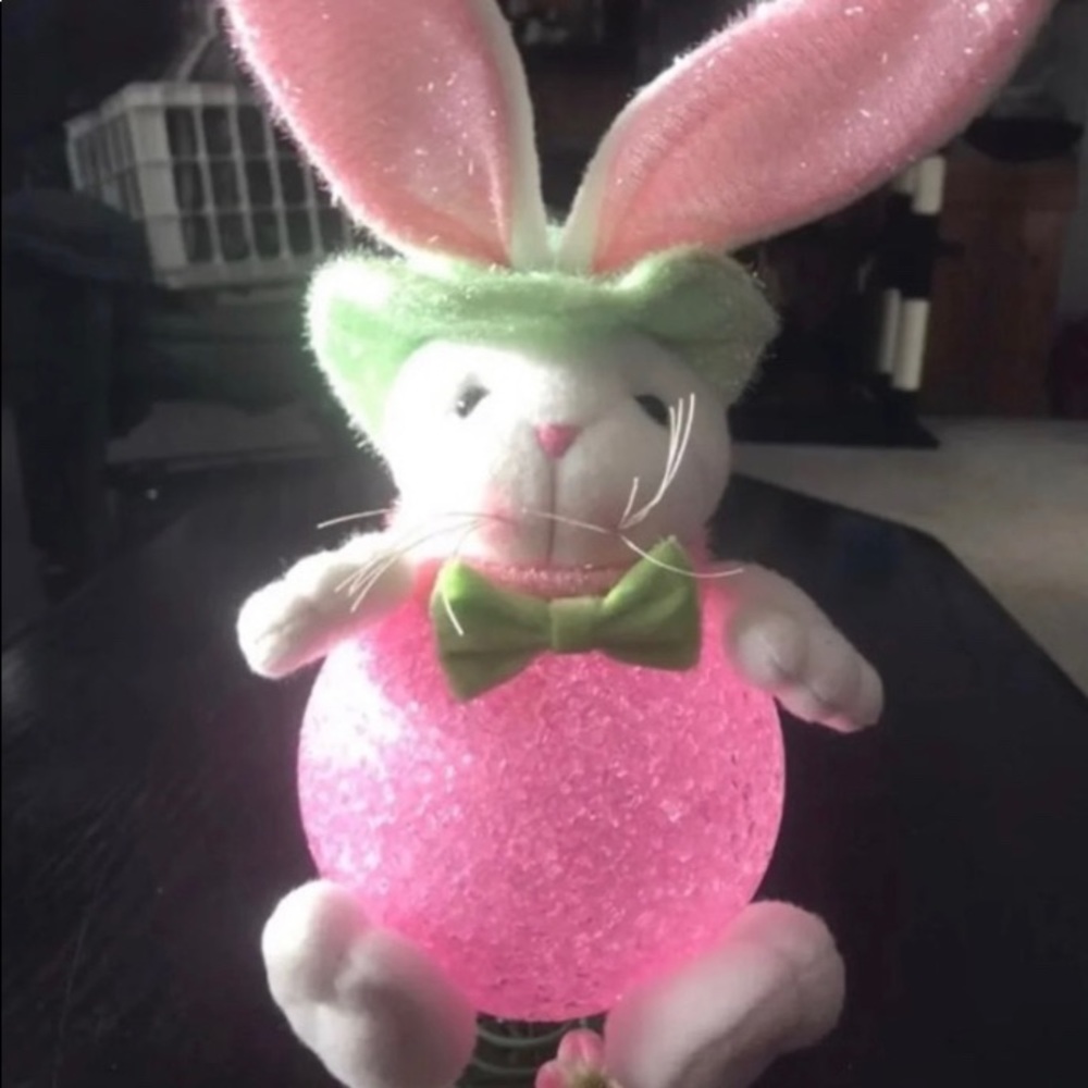 Bunny spring friends